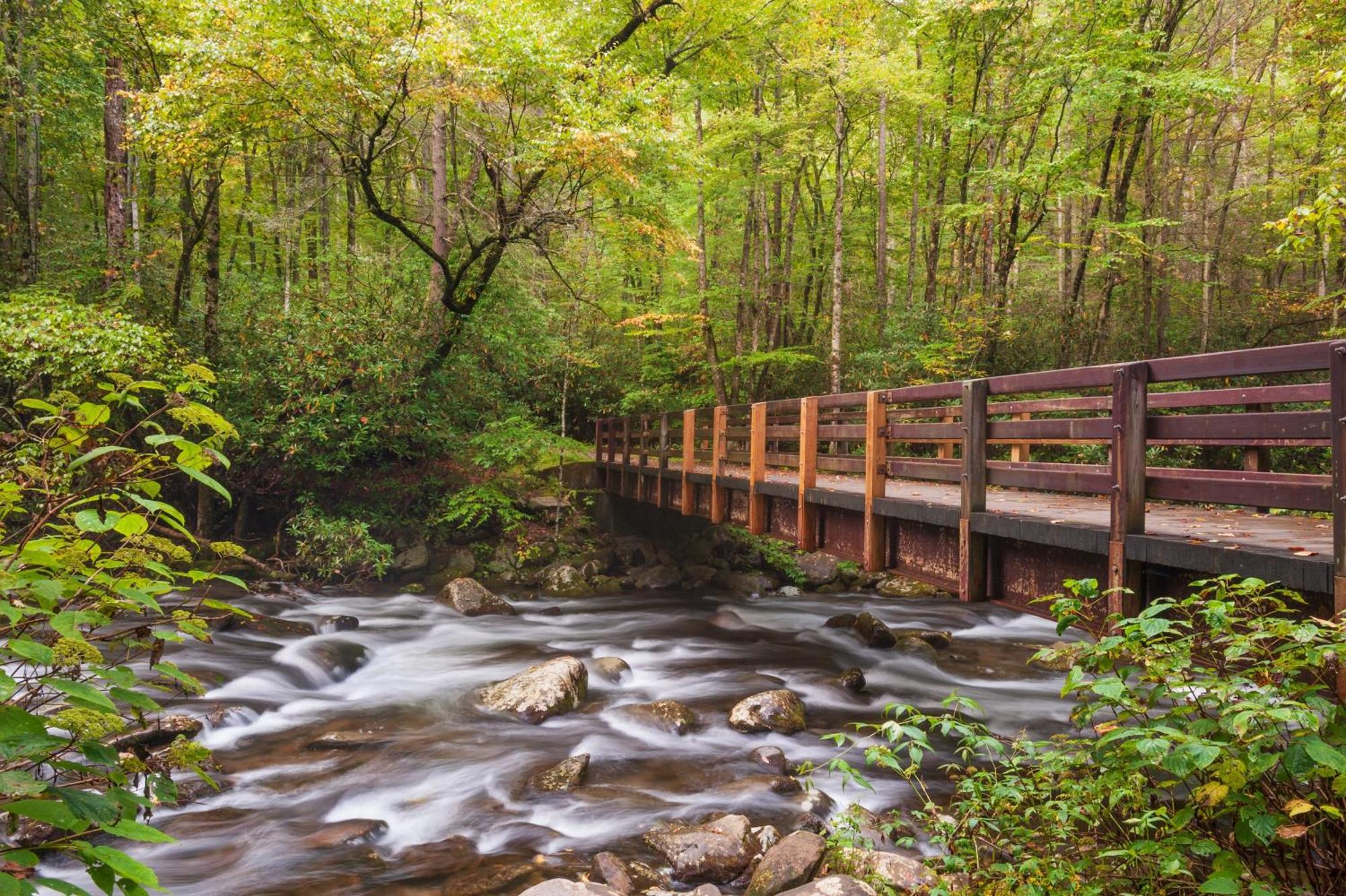 The Cozy Cove, Hot Tub, Wifi, 1089 Free Tickets Each Paid Day, Dollywood And More Sevierville Eksteriør billede