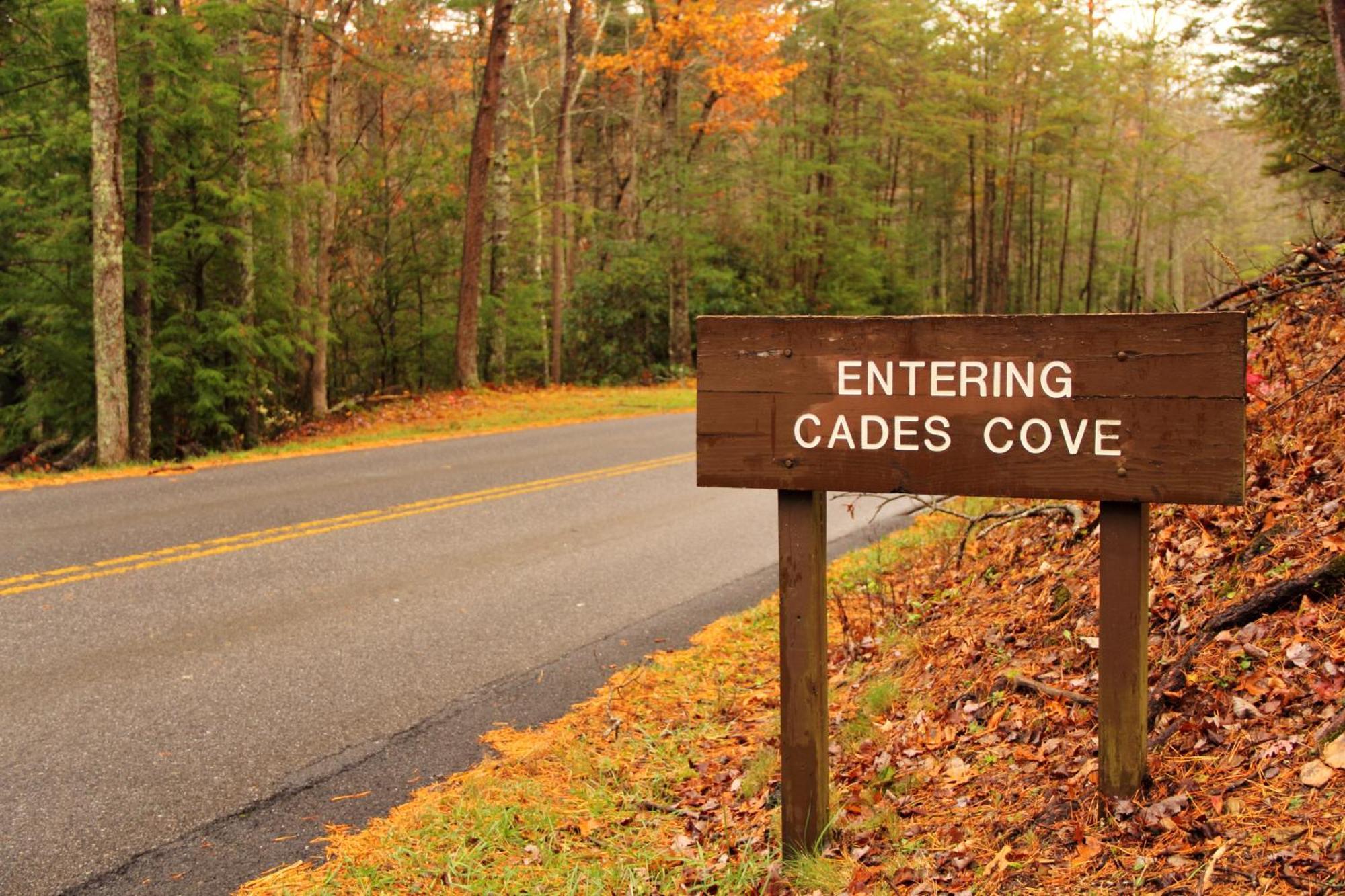 The Cozy Cove, Hot Tub, Wifi, 1089 Free Tickets Each Paid Day, Dollywood And More Sevierville Eksteriør billede